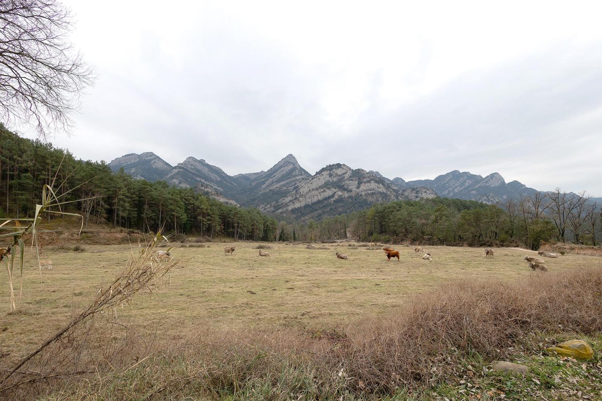 Agroturisme La Serra Vilada 外观 照片